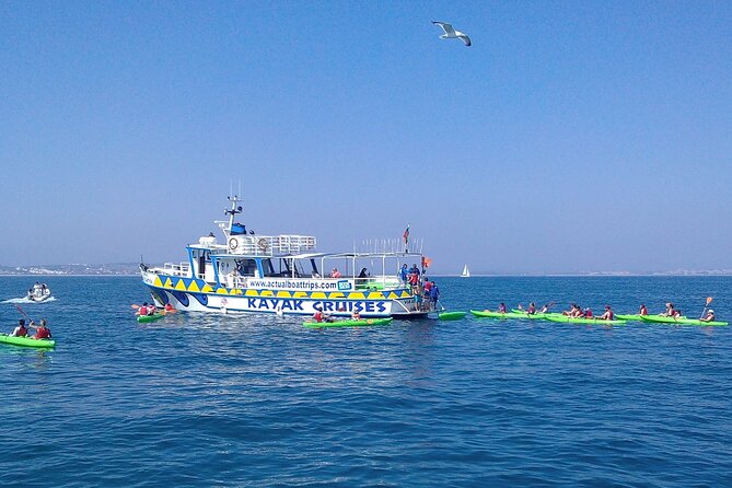 Kayak Tour