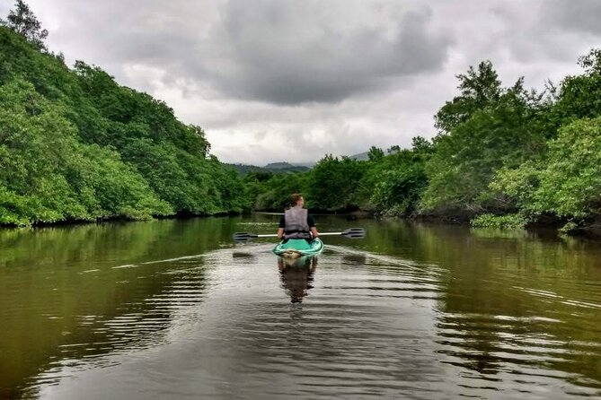9 Best Canoe And Kayak Experiences In Paraty