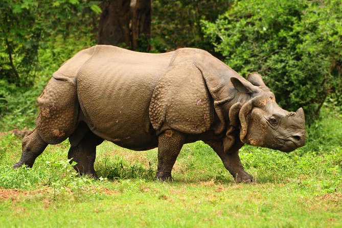 19 Best Tours In Guwahati