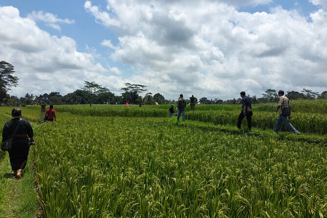 Keliki Village Tour And Rice Field Walk Including Lunch Or Dinner - Good To Know