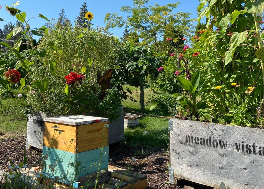 Kelowna: E-Bike Bee Tour W/ Tastings, Lunch, and Audioguide - Good To Know