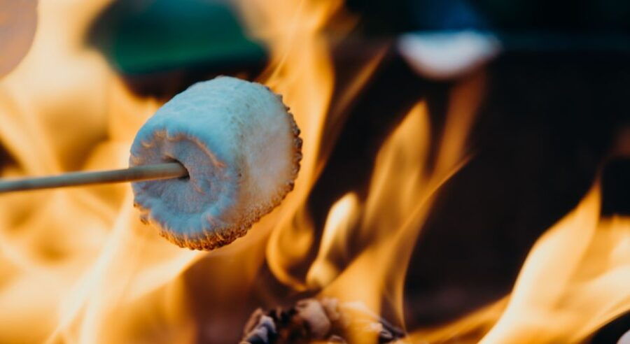 Kelowna: Fireside S'mores, Wine and Honey Tasting - Good To Know