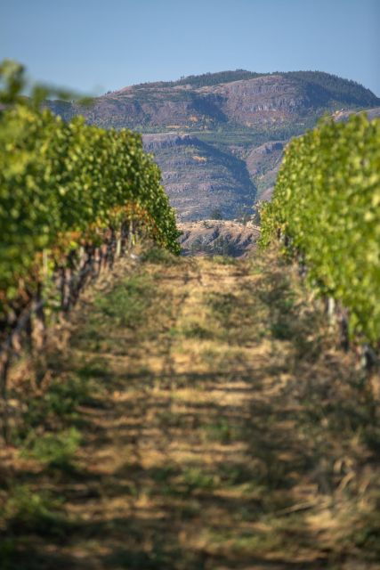 Kelowna: Lake Country Full Day Guided Wine Tour - Good To Know