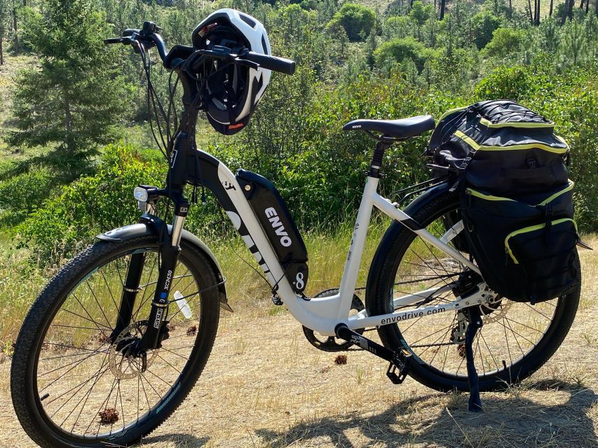 Kelowna: Okanagan Lake Guided E-Bike Tour With Picnic - Good To Know