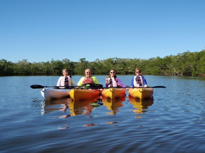 Kennebunkport: Cape Porpoise Half-Day Kayak/SUP Rental