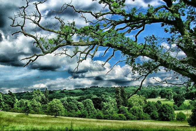 Kent, Leeds Castle, Canterbury, Dover Cliffs: Private Day Tour - London - Good To Know