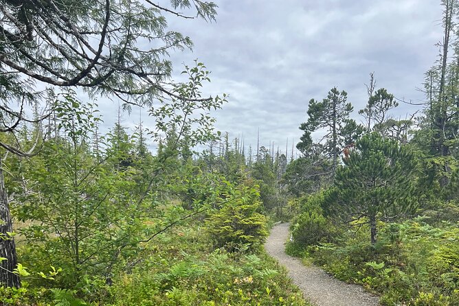Ketchikan Remote Beach Hike With Totem Park Stop - Good To Know