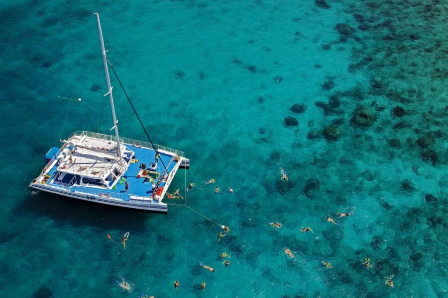 Key West: 3-Hour Snorkeling Adventure - Good To Know