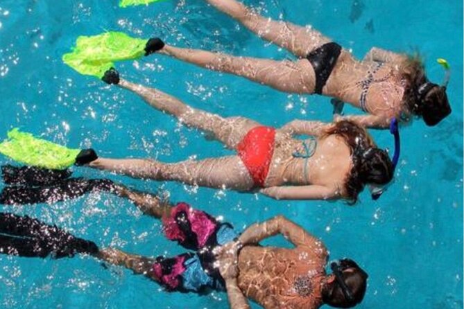 Key West: 3hrs Snorkeling Experience Unlimited Drinks (Breakfast-Am Tour) & Meal - Good To Know