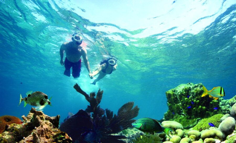 Key West: Dolphin Watching and Snorkeling Eco Cruise Tour - Good To Know