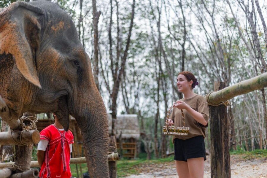 Khao Lak: 1-Hour Elephant Sanctuary Eco-Journey With Shuttle - Good To Know