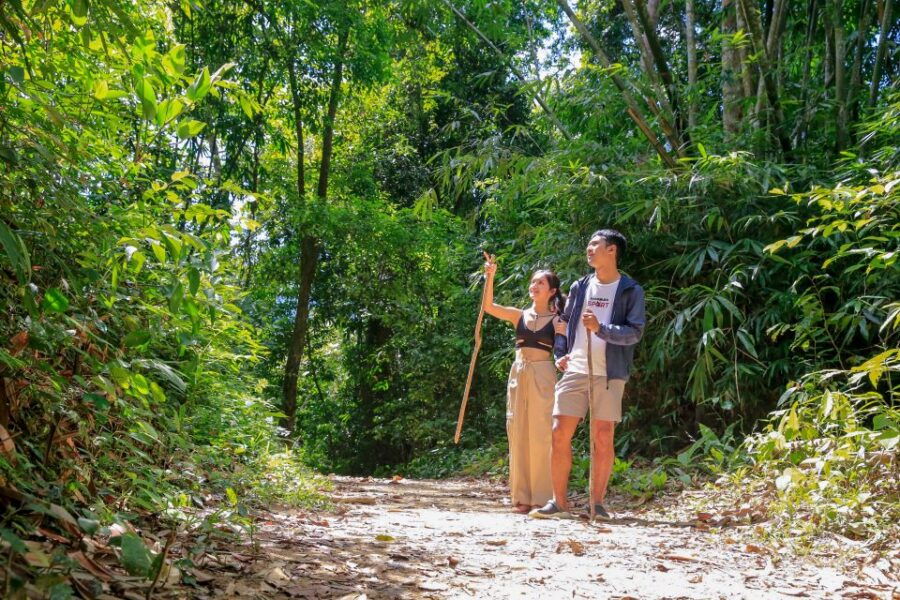 Khao Lak: Cheow Lan Lake Overnight Trip With Elephant Care