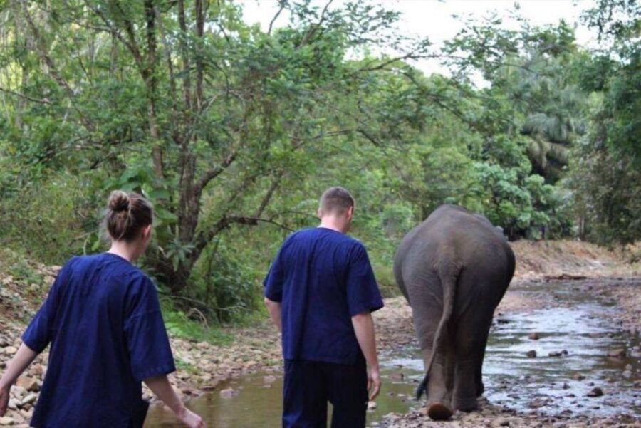 Khao Lak: Unique Dusk Ethical Elephant Sanctuary Experience - Good To Know