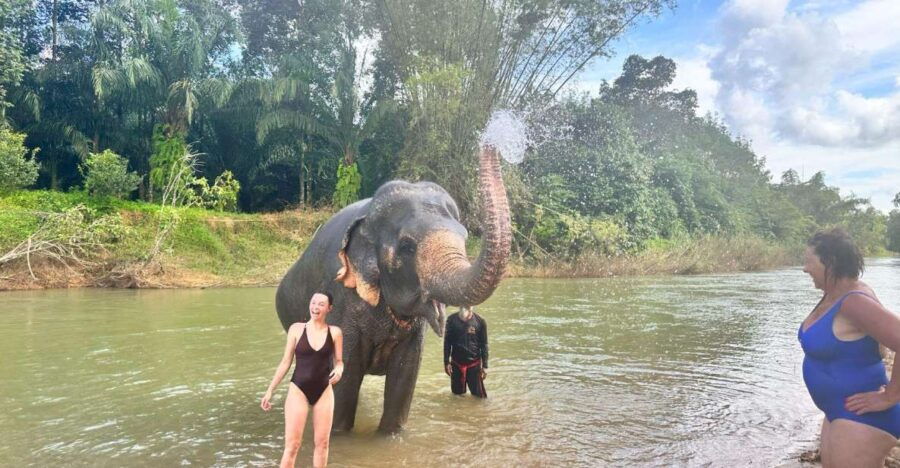 Khao Sok: Elephant Day Care, Cooking Class, & Bamboo Raft