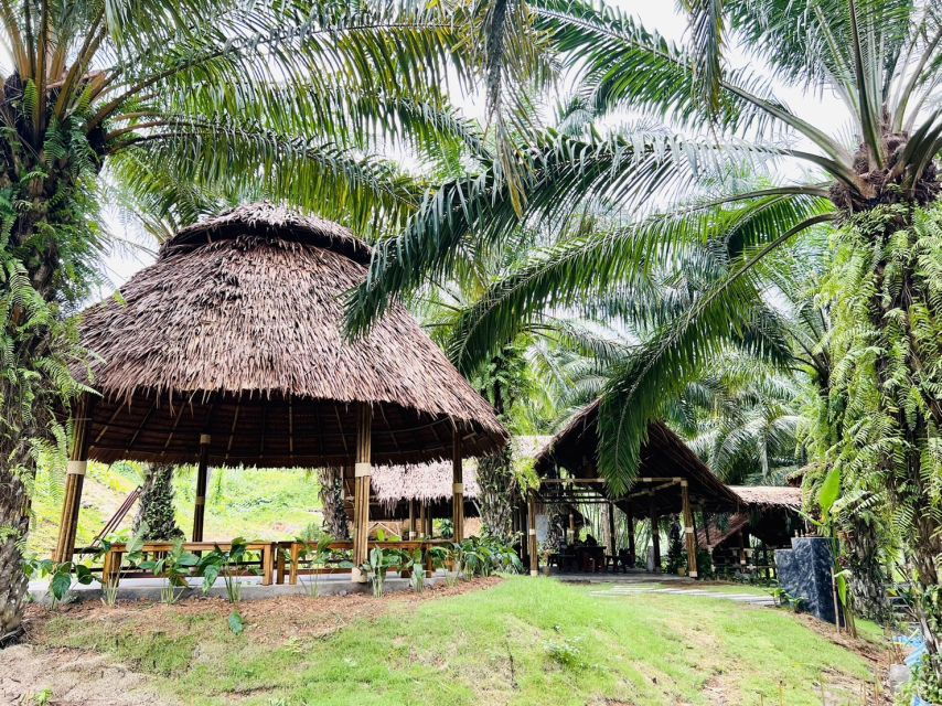 Khao Sok: Ethical Elephant Sanctuary Visit