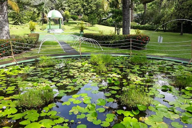 Kingstown Tour And Beach – Private Tour