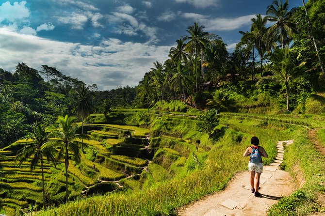 Kintamani Private Tour:Tegalalang Rice Terraces, Goa Gajah Temple - Good To Know