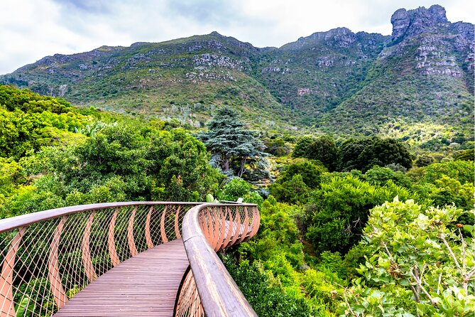 Kirstenbosch and Table Mountain Tour - Good To Know