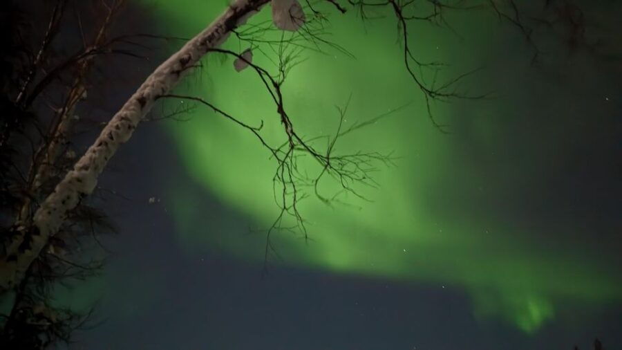 Kiruna: Private Snowmobile Forest Tour With Hot Drink - Good To Know