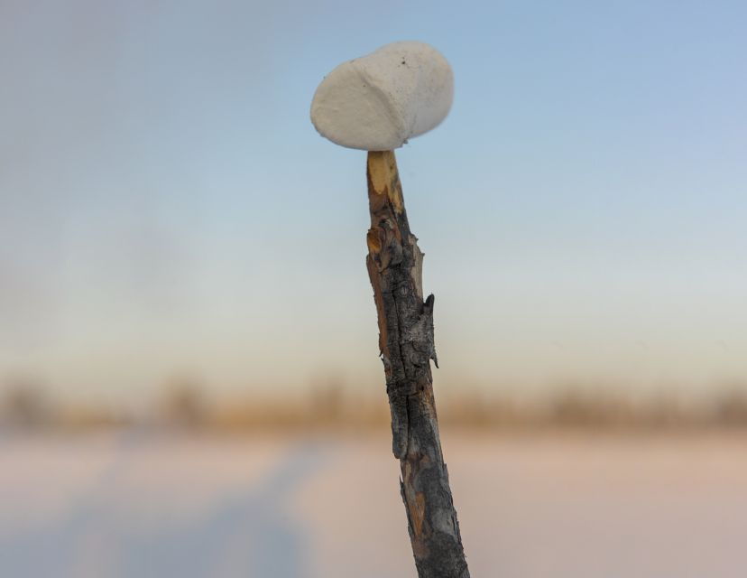 Kiruna: Snowshoe Hike & Ice Fishing Tour