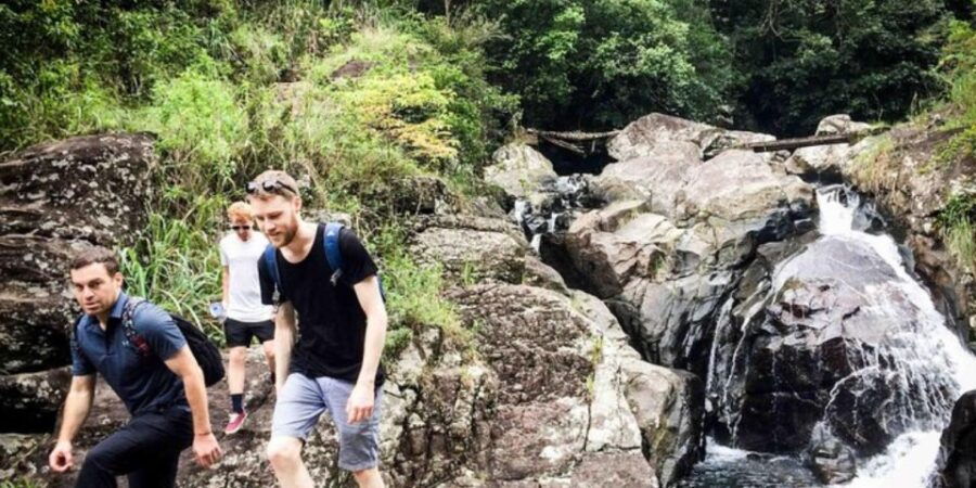 Knuckles Wilderness Waterfall Trek:Comprehensive Adventure - Good To Know