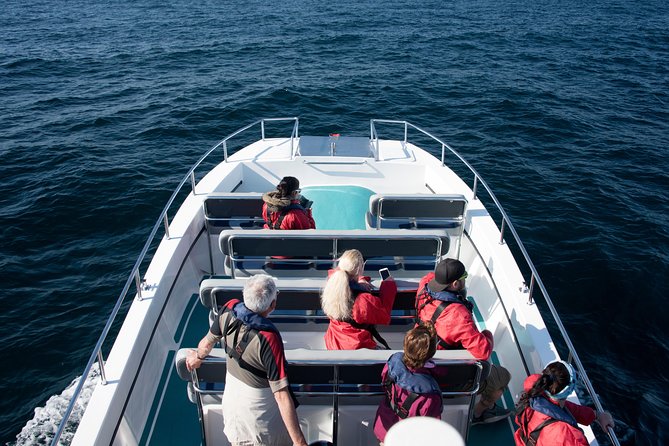 Knysna Dolphin Watching & Garden Route Coastline Experience