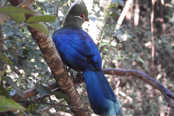 Knysna Private Day Tour