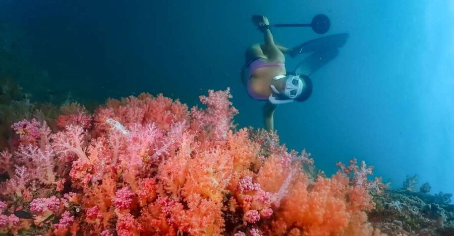 Ko Lanta: Free Diving Sea Fan at Ko Waen & Emerald Cave Tour - Good To Know