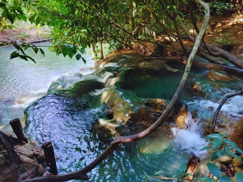 Ko Lanta: Full Day Jungle Tour With Tiger Temple