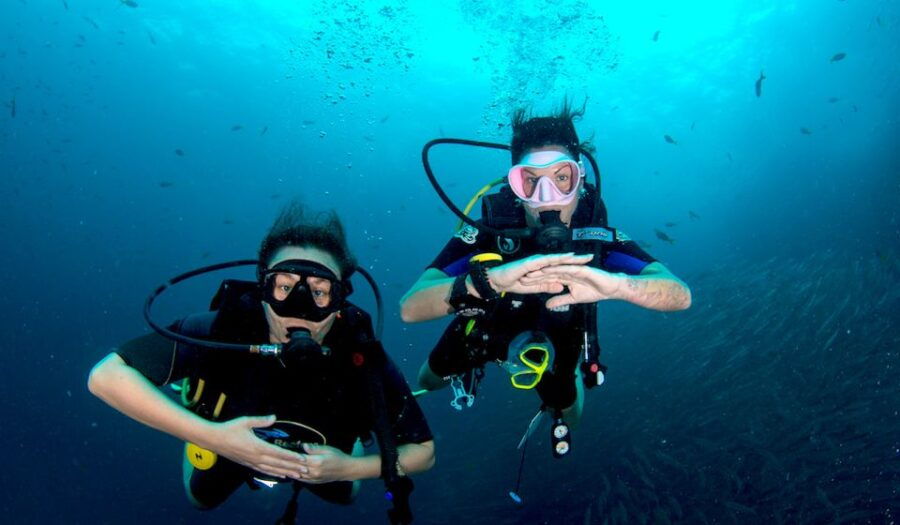 3 Best Scuba Diving Experiences In Ko Tao