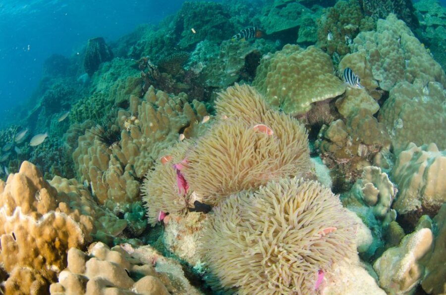 Koh Chang: Private Bubblemaker Diving for 8 and 9 Year Olds