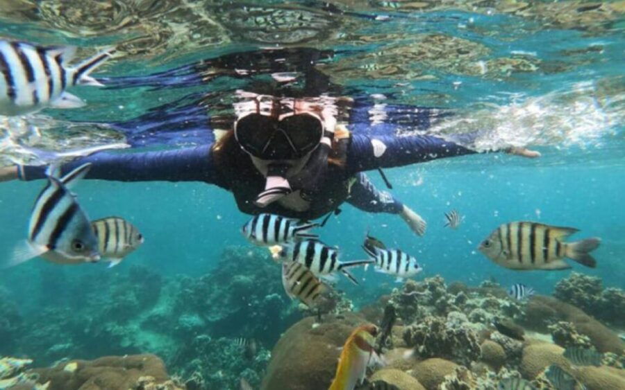 Koh Samui: Ang Thong Marine Park Day Tour by Speedboat