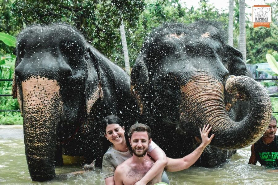 Koh Samui: Elephant Jungle Sanctuary Half-Day Tour - Good To Know