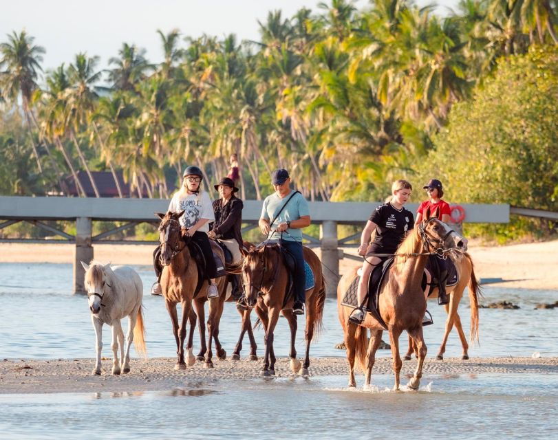 Koh Samui: Guided Horse Riding Tour on the Beach - Good To Know