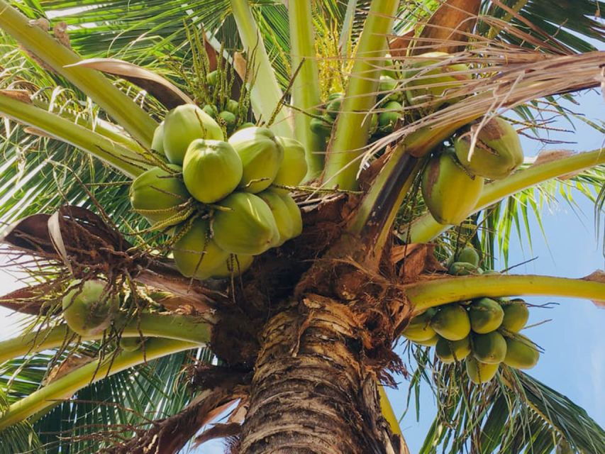 Koh Yao Noi: The Local Way of Life Eco Half-Day Tour - Good To Know