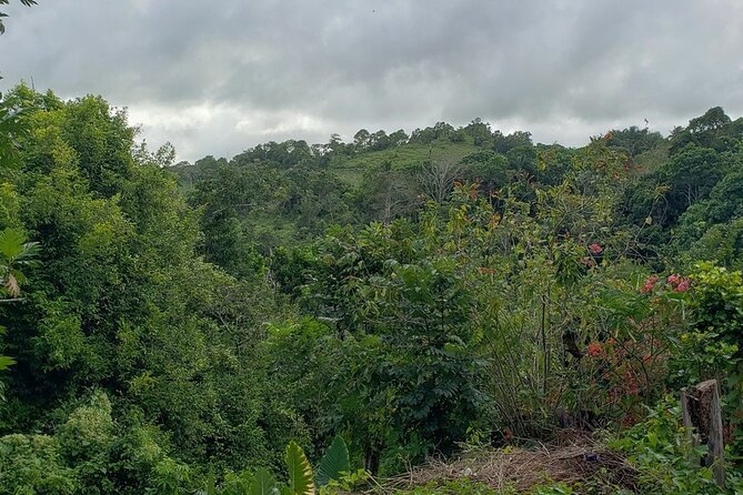 Konoko Falls, City Highlights Ocho Rios (Entry Fees Included)