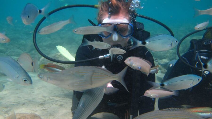 Kos: Beginner Scuba Diving at Pserimos Island