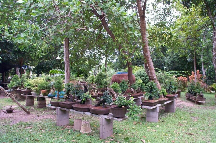 Krabi Bonsai Garden.