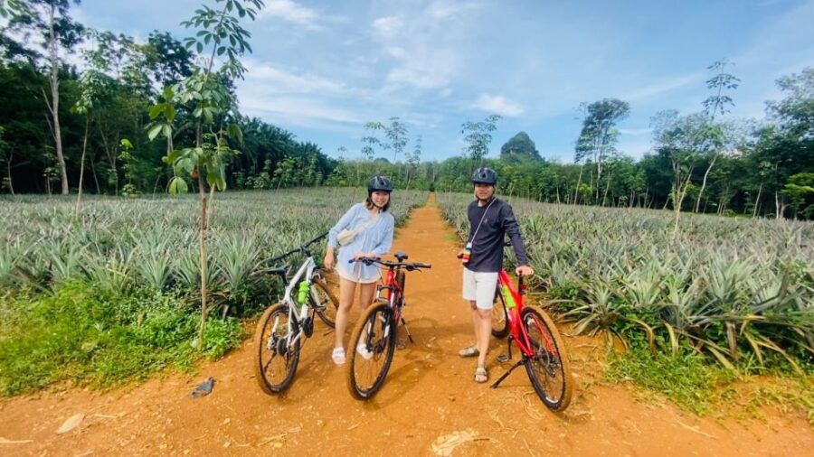 Krabi: Cycling Tour To Krabi