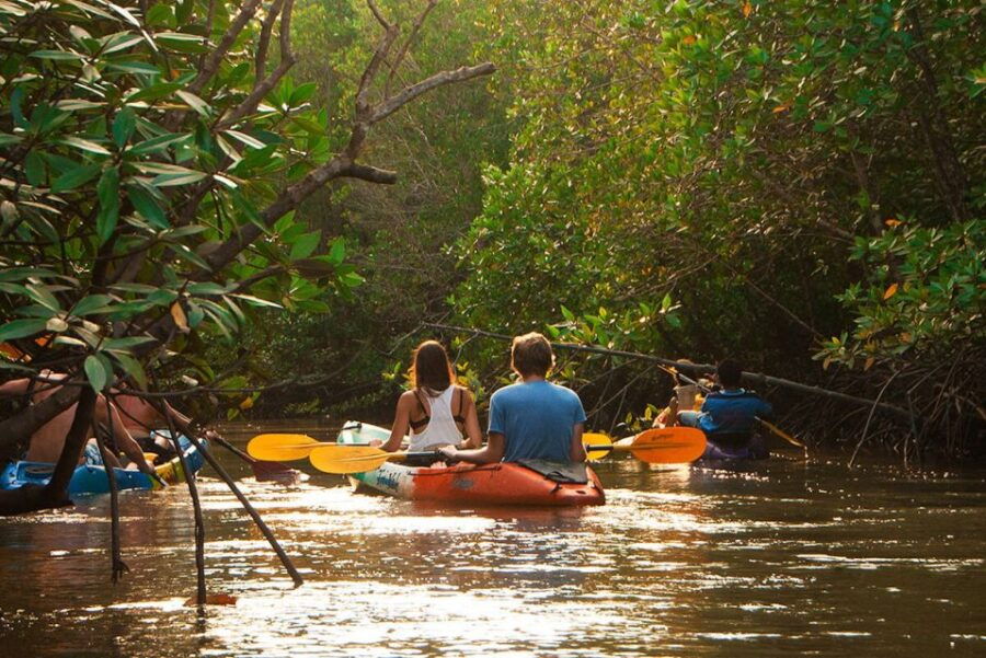 Krabi: Full-Day Sea Kayaking in Baan Bor Thor