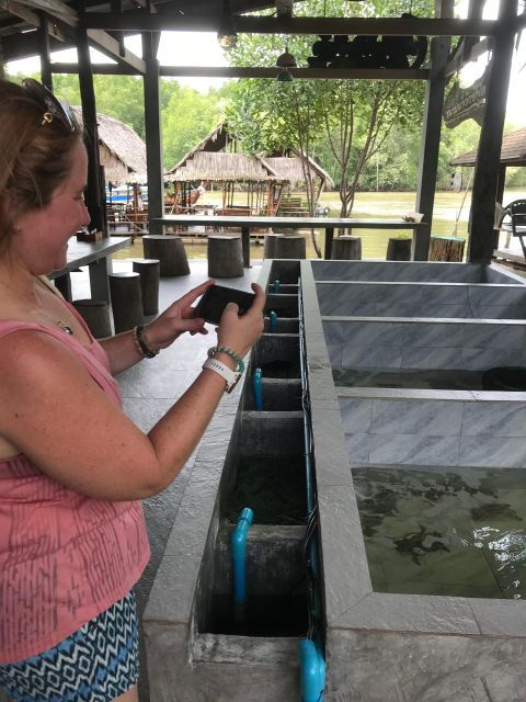 Krabi: Half Day Tour Mangrove Tour Kayaking Tour With Lunch