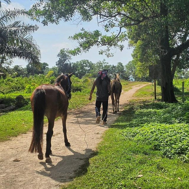 Krabi Horse Riding on the Beach and Atv Extreme