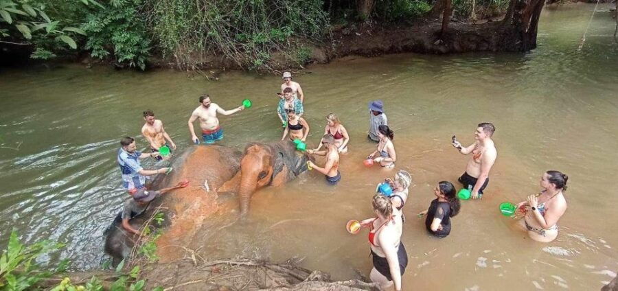 Krabi Kayaking and Elephan Barting