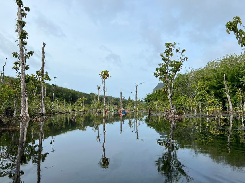 Krabi: Kayaking at Klong Nam Sai, Elephant Bathing & Feeding - Good To Know