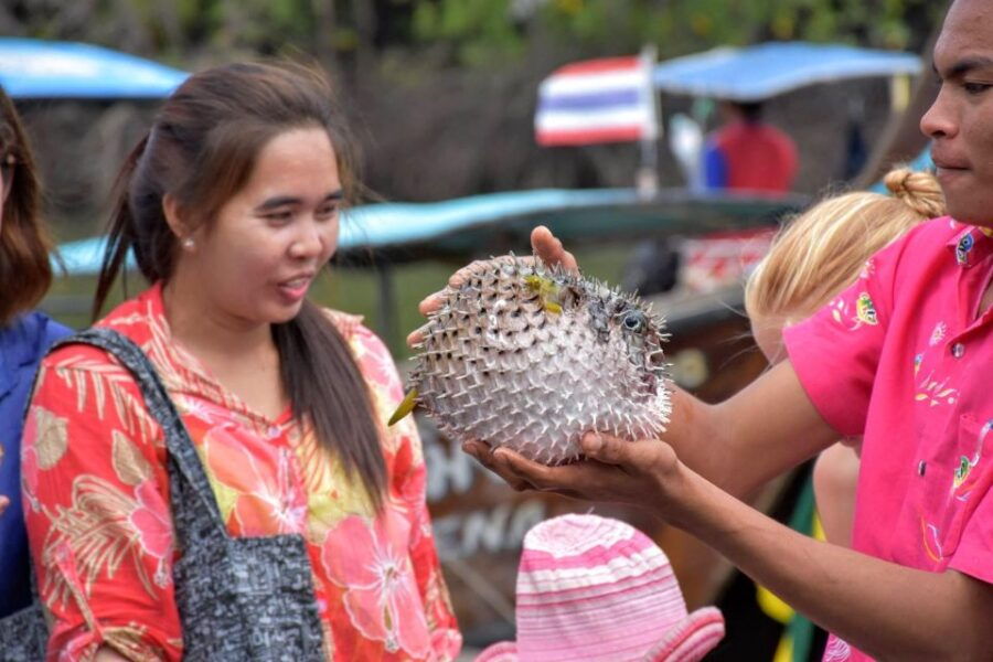 Krabi: Mangrove Magic & Koh Klang Charm by Longtail Boat - Good To Know
