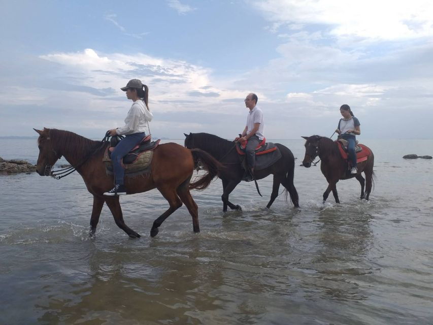 Krabi Province: City Tour With 1-Hour Beach Horse Ride - Good To Know