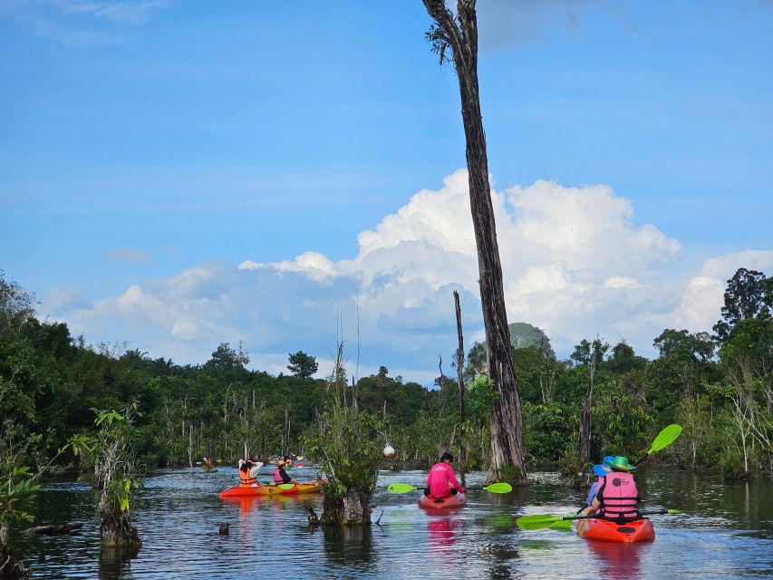 Krabi: South Kayak Klong Root Kayaking Tour - Good To Know