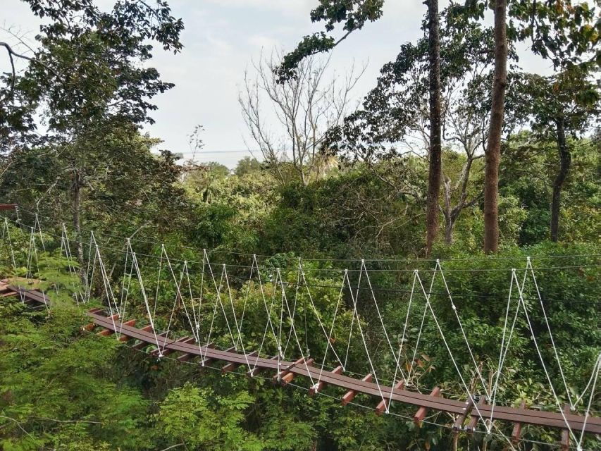 Krabi Zipline Adventure