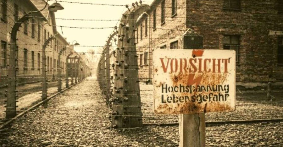 Krakow and Auschwitz Small-Group Tour From Lodz With Lunch - Good To Know