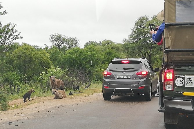 Kruger National Park 2 Days 1 Night Magical Safari From Johannesburg Private